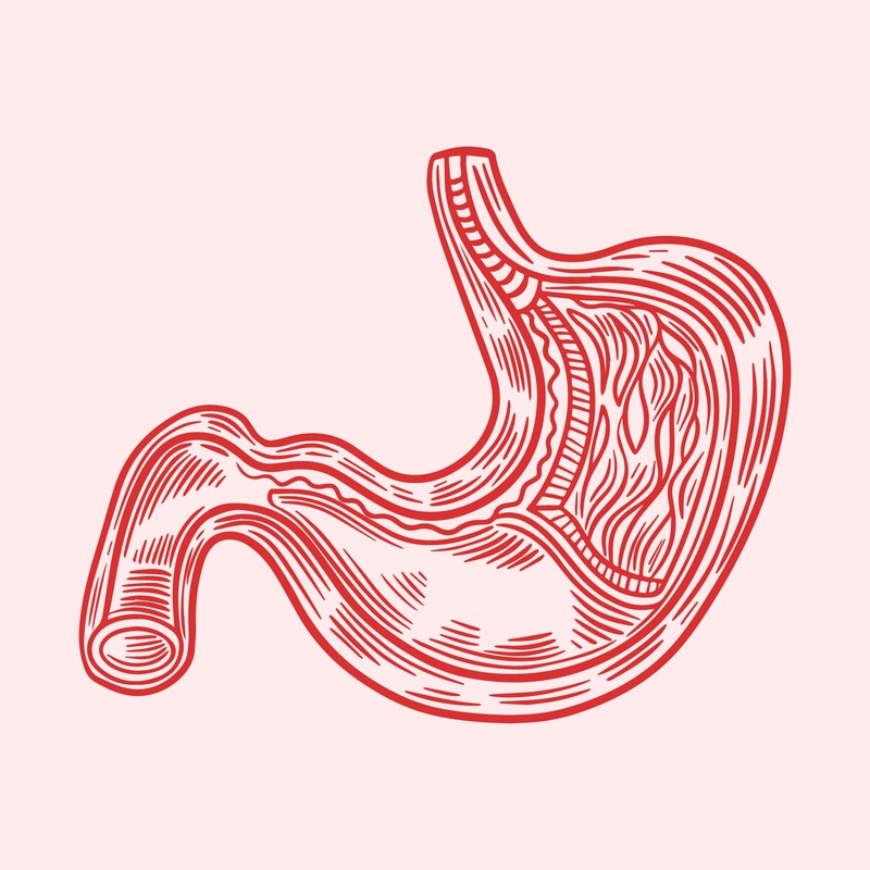 gastroscopia e colonscopia insieme